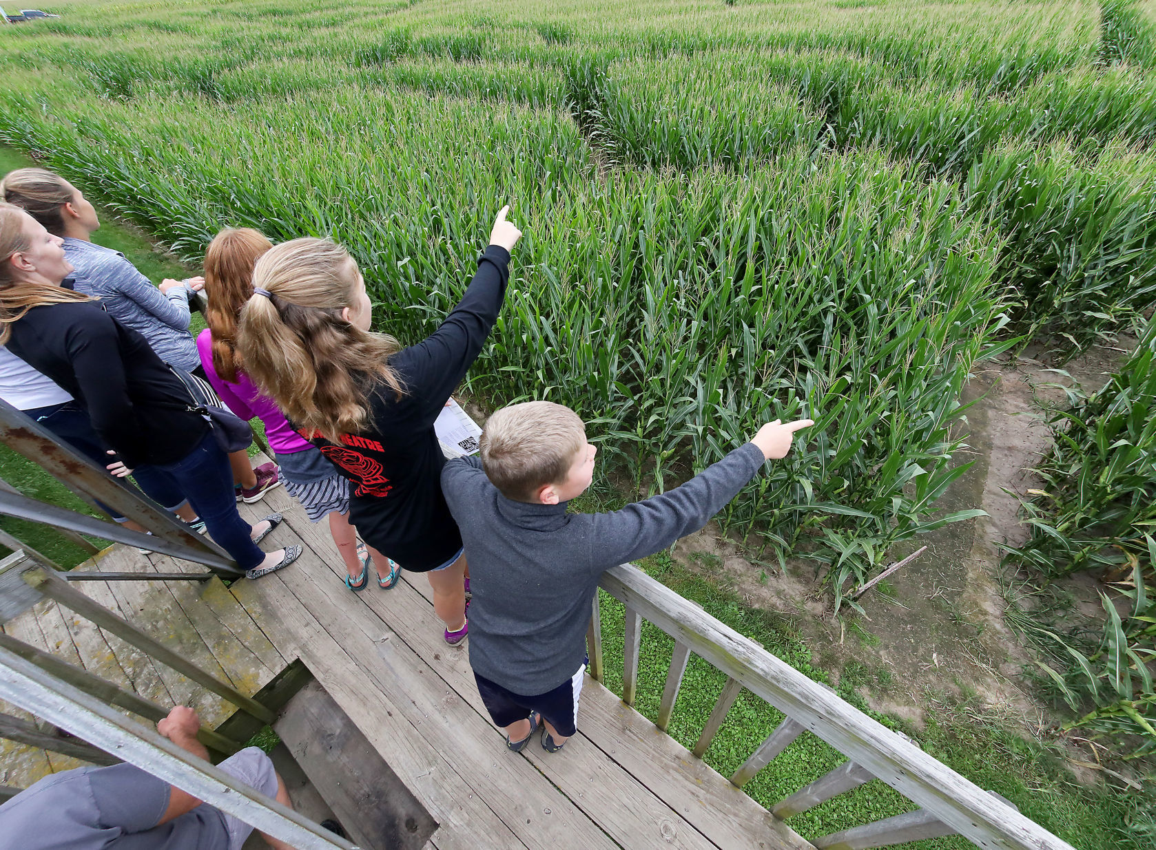 Treinen Corn Maze